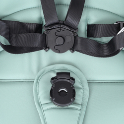 Детская коляска Rant Falcon 2 в 1 Green