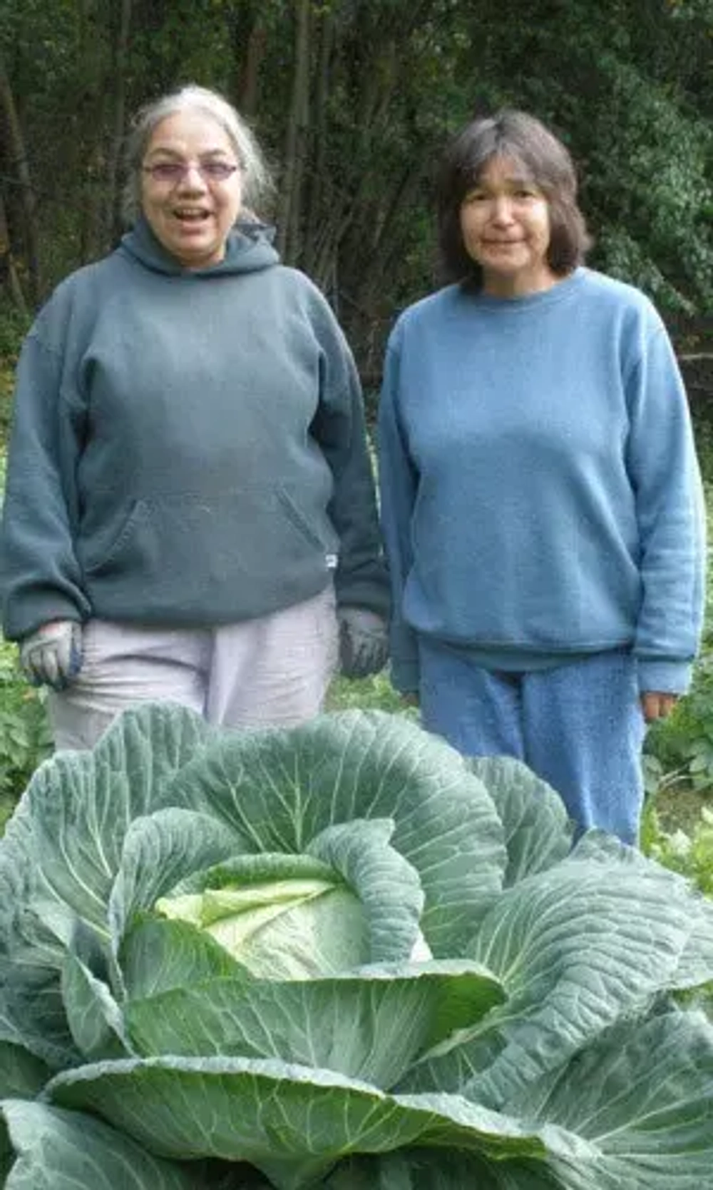 Капуста б/к Безразмерная УрДачник