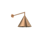 Излив душевой настенный тропический HYDROTHERAPY RCON300CUC