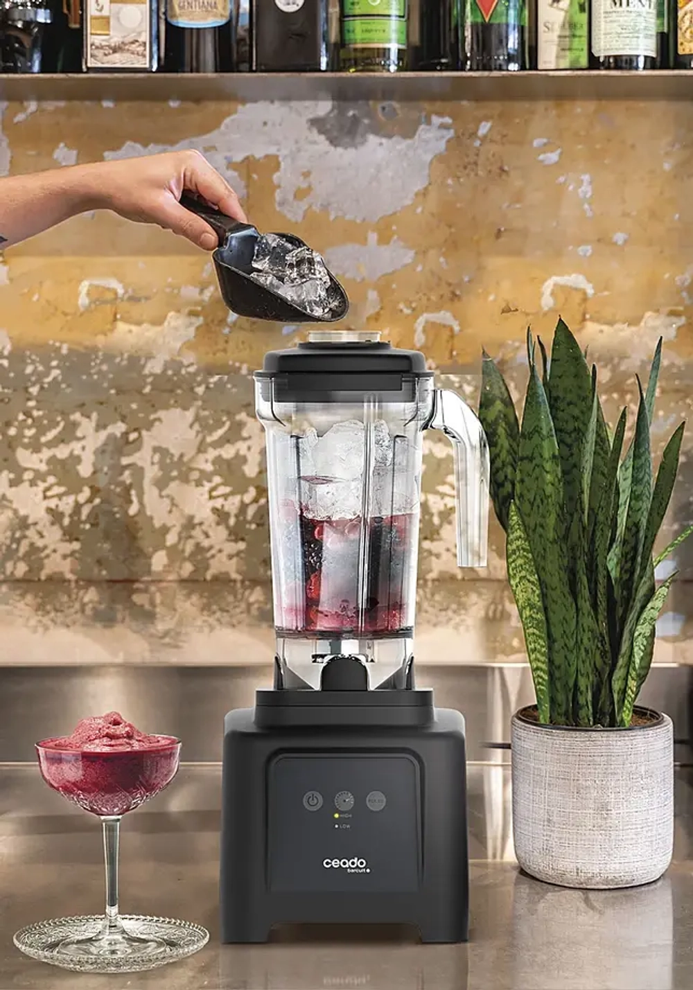 Блендер Ceado barcult B185