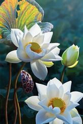 Алмазная вышивка \ Diamond painting Нежность лотоса