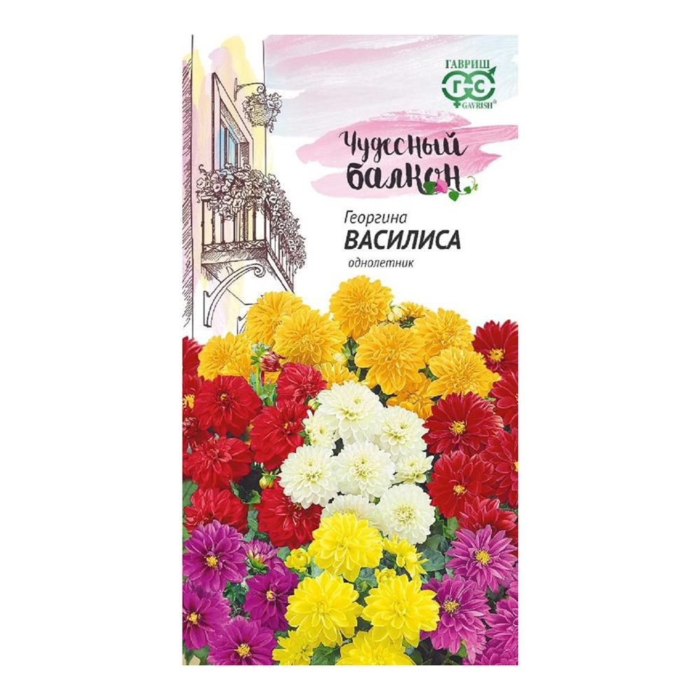 Георгина Василиса H10