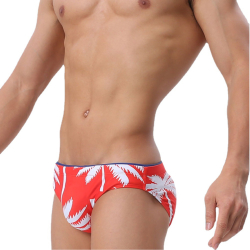 Мужские плавки брифы красные Romeo Rossi RR6655-8