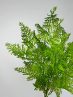 Куст папоротника / Арт 5015