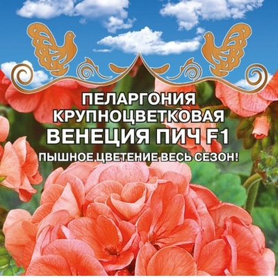 Пеларгония крупноцветковая Венеция Пич F1