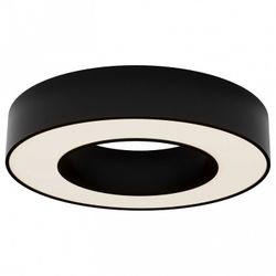 Накладной светильник Maytoni Lua C093CL-24W3K-B