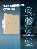 Выключатель сенсорный двухклавишный для дома