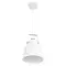 Подвесной светильник Arte Lamp LUNED A2214SP-1WH
