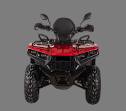 Квадроцикл Bizon YK250 LUX EFI