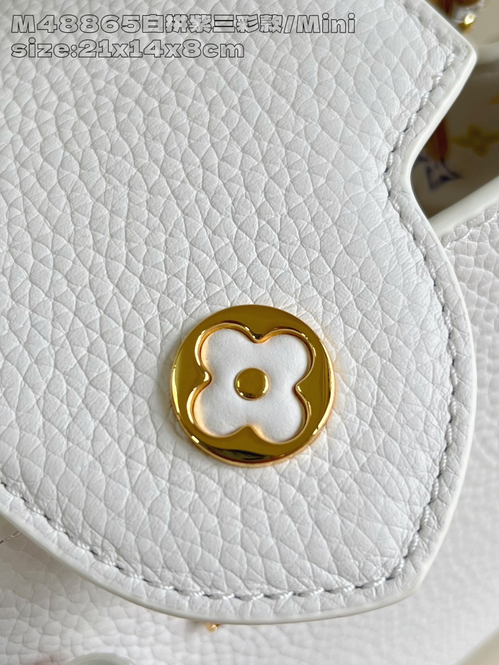 Louis Vuitton Capucines Mini