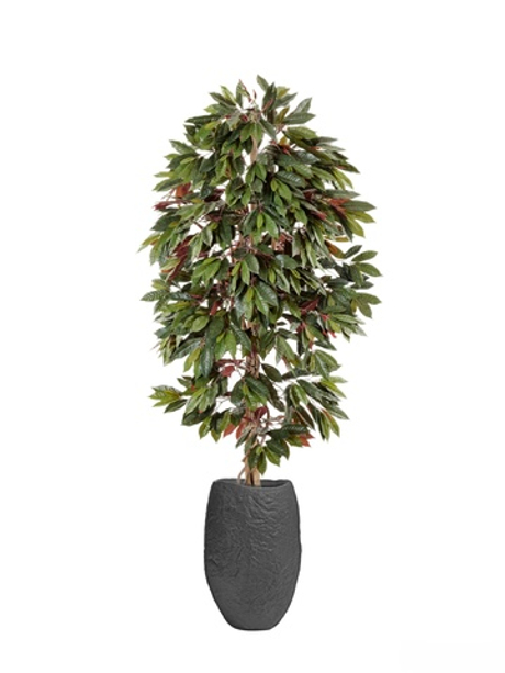 Комплект - Капенсия 150 см в кашпо TREEZ Effectory - Organic