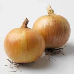 Дакапо F1 семена лука репчатого (Hazera / Хазера)