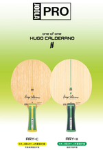 JOOLA Hugo Calderano ARY-C