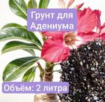 Грунт для Адениумов Универсальный, 2 литра универсальный грунт