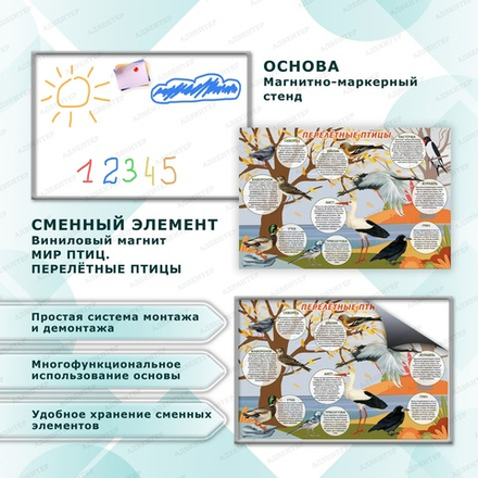 Комплект развивающий МИР ПТИЦ. ПЕРЕЛЁТНЫЕ ПТИЦЫ. 2156