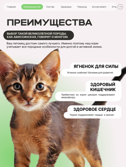 Корм сухой для котят породы Абиссинская, с ягненком, 2 кг, QUATTRO