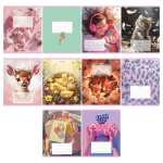 Тетрадь школьная А5 12л линия,эконом "Mix-10. Девочки"(BG)