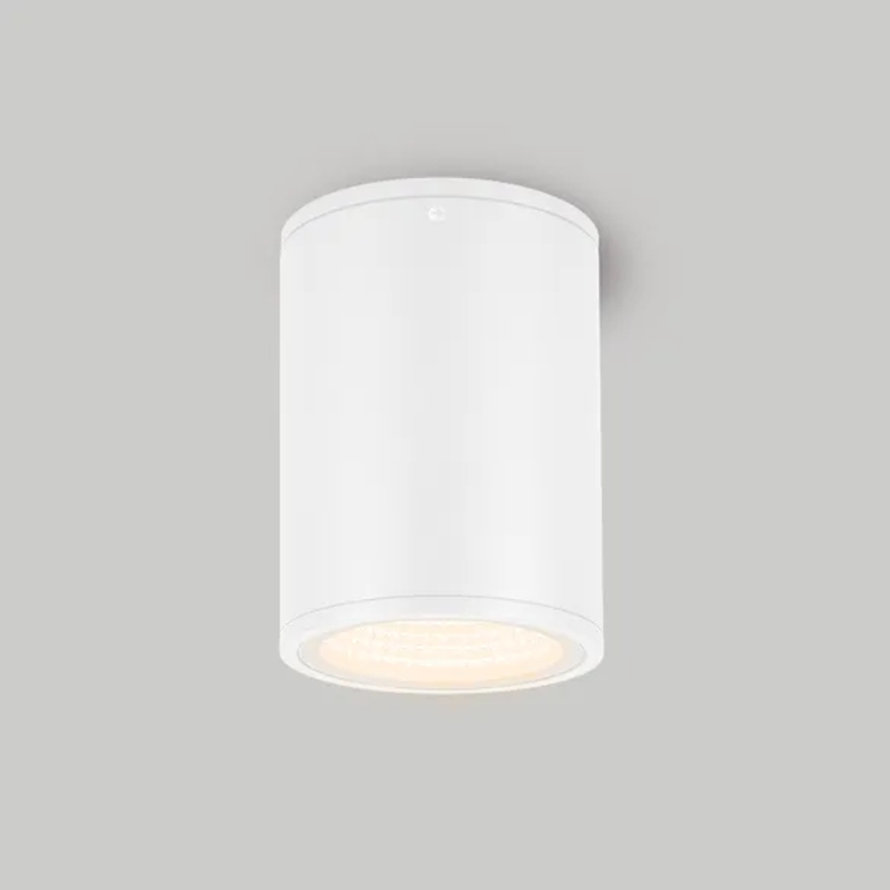 Светильник LGD-FORMA-SURFACE-R90-12W Day4000 (WH, 44 deg, 230V) (Arlight, IP54 Металл, 3 года) 037259