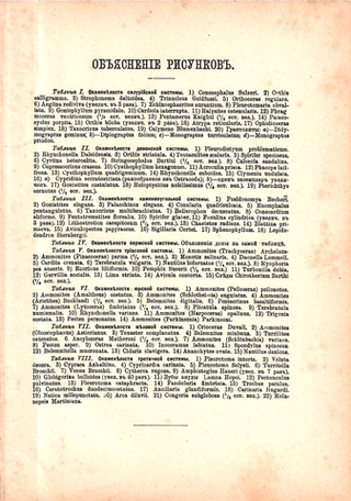 Литография «Окаменелости»
