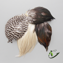 Набор перьев Whiting Natural Mayfly Winger Patch (4 кусочка)