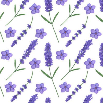 Лаванда акварель