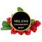 Milano -  Cranberry (100г)