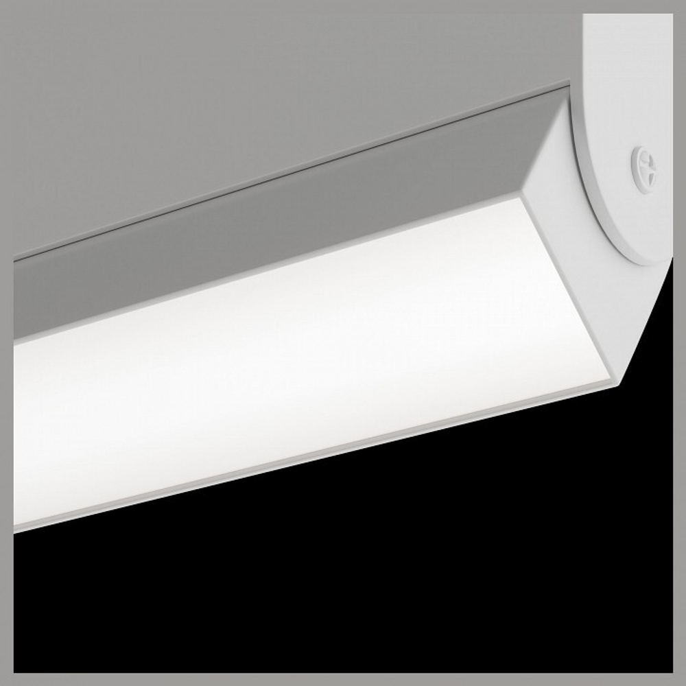 Трековый светильник Maytoni Technical TR013-2-10W3K-W