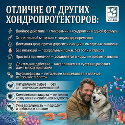 Глюкозамин + Хондроитин + МСМ 150 капсул.