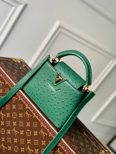 Louis Vuitton Capucines Mini