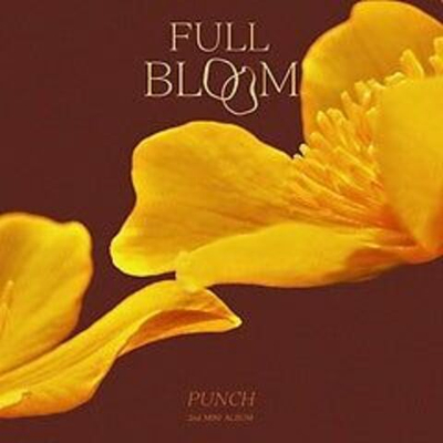 Альбом Punch - Full Bloom 2nd Mini Album
