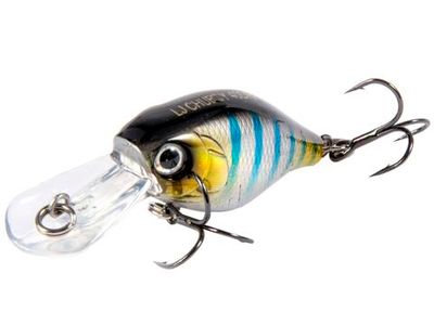 Chubby 40DRF