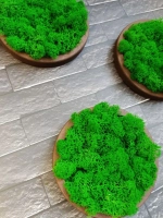 Панно из мха набор 3 шт.