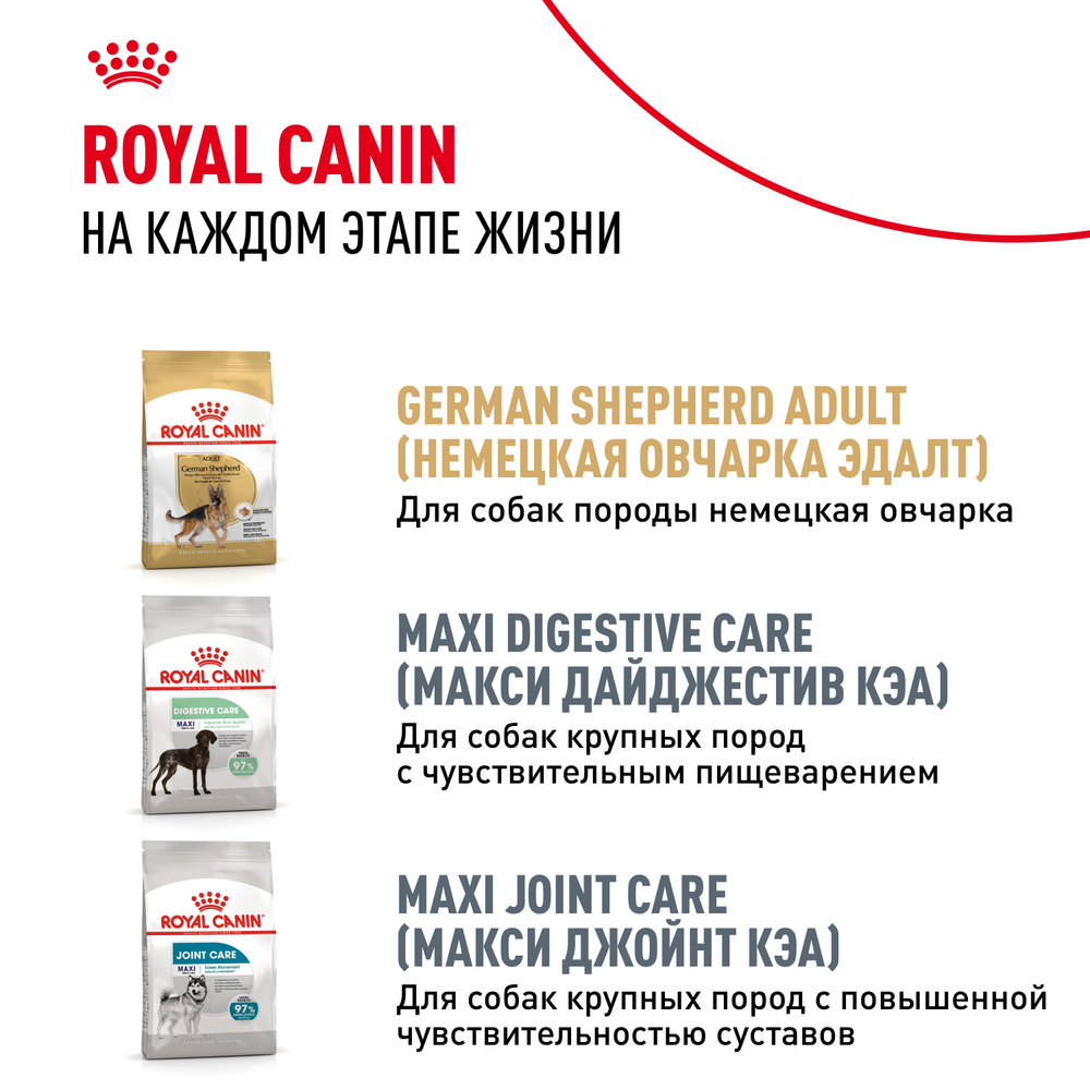 Сухой корм Royal Canin German Shepherd Puppy для щенков породы Немецкая овчарка до 15 месяцев 12кг