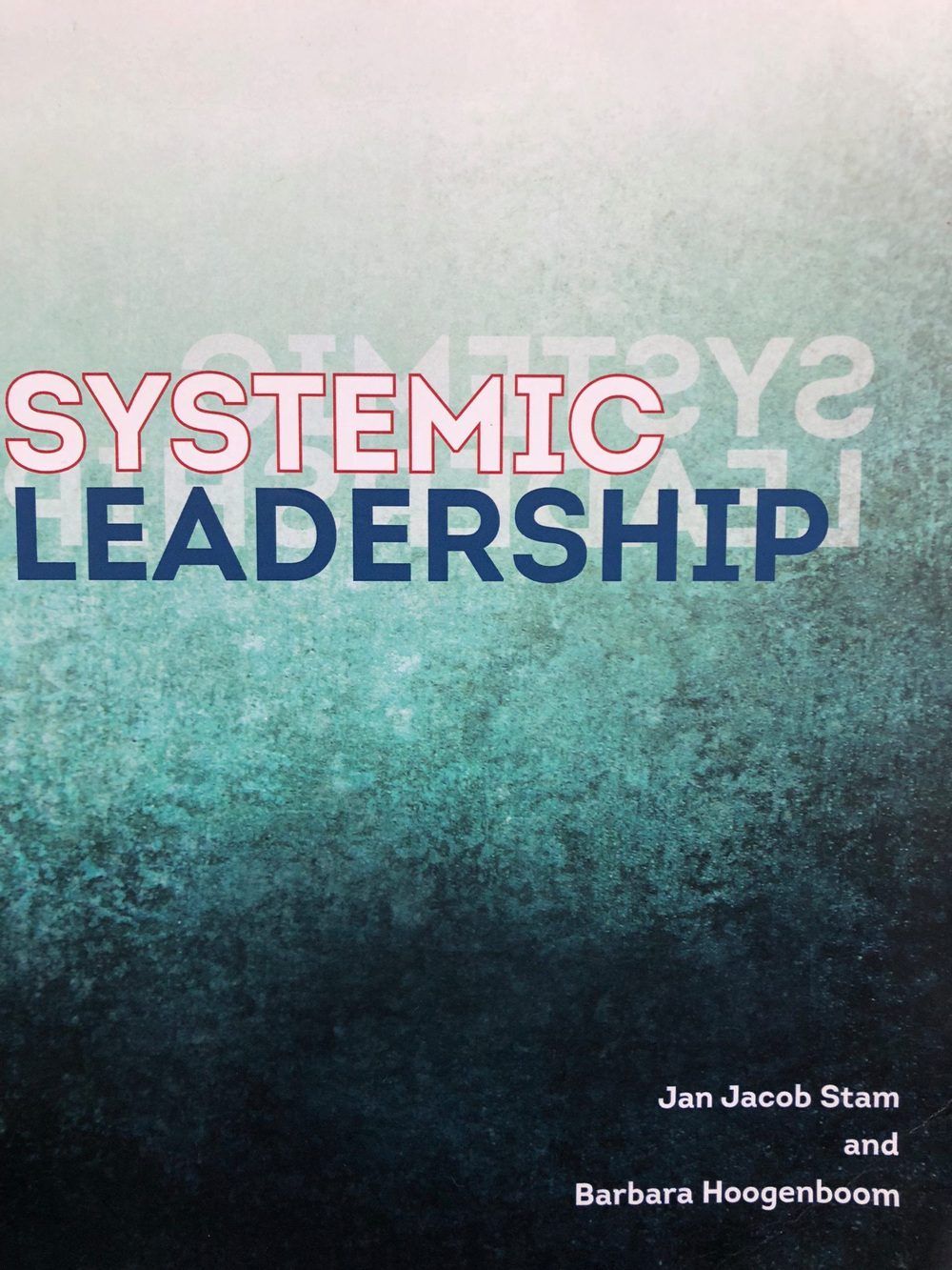 В потоке против течения. Системное лидерство