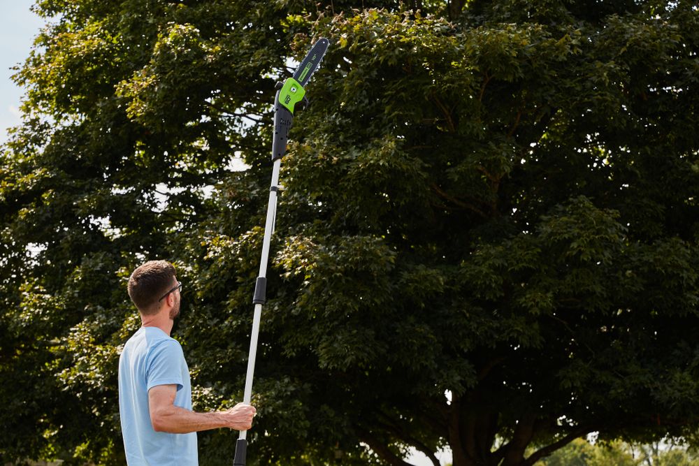 Высоторез/Сучкорез аккумуляторный Greenworks GD60PS25 Арт. 1402107, 60V, 25 см, без АКБ и ЗУ