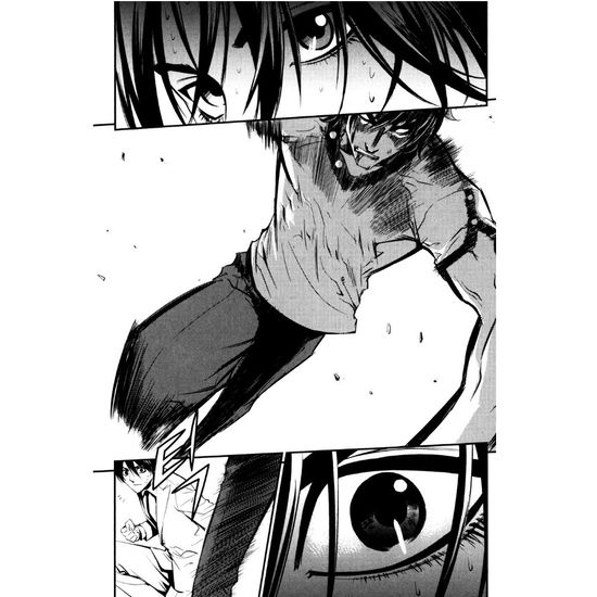 манга Крушитель том 9