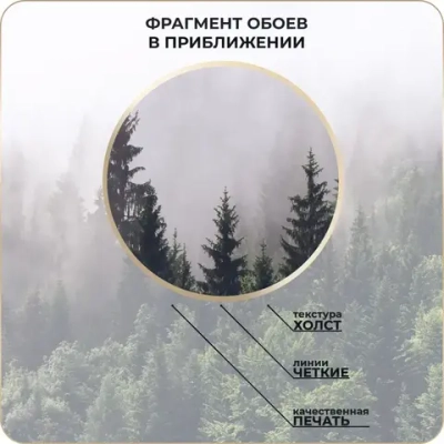 Фотообои 3D Лес в Тумане в спальню, в гостиную, на кухню 300х250