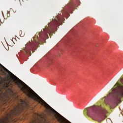 Чернила Sailor Manyo Ume 50 мл (13-2009-210) 4