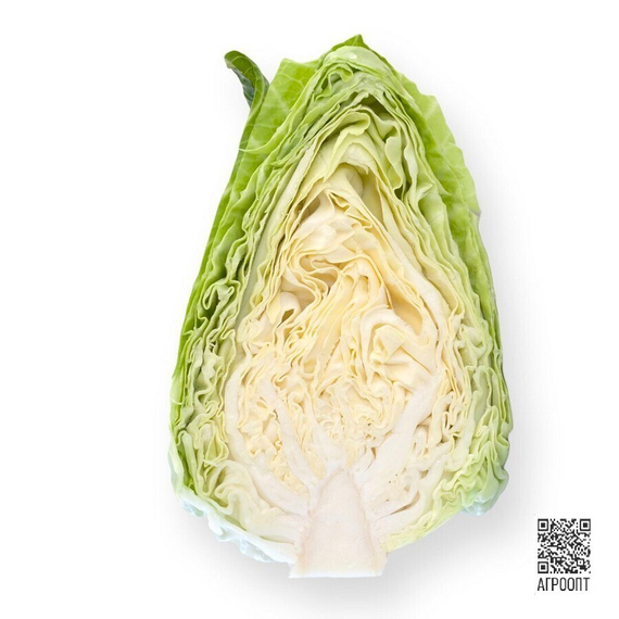 Сонсма F1 семена капусты белокочанной (Rijk Zwaan/ALEXAGRO) культура – фото 4