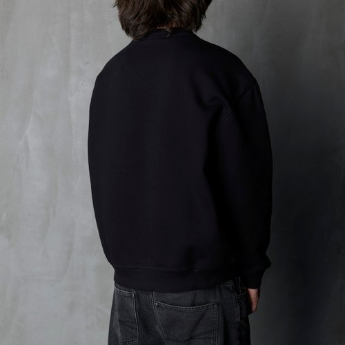 Толстовка Dickies Torrey Sweatshirt артикул:DK0A88BSBLK1 - купить в магазине Дайс