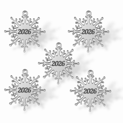 Топпер Бирка снежинка "2025" (4,5см) ТБ6157 5шт акрил