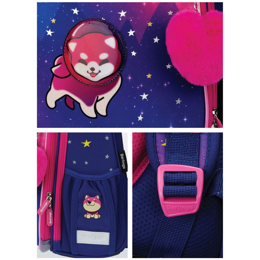 Ранец Berlingo Expert Akita boy 37х28х16см, 2 отд., с анатомической спинкой