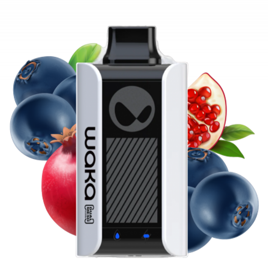 Waka soPro 10 000 Черника Гранат