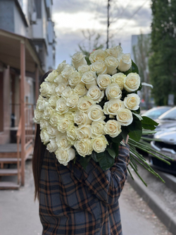 Белая роза сорт «Мондиаль» (Эквадор)