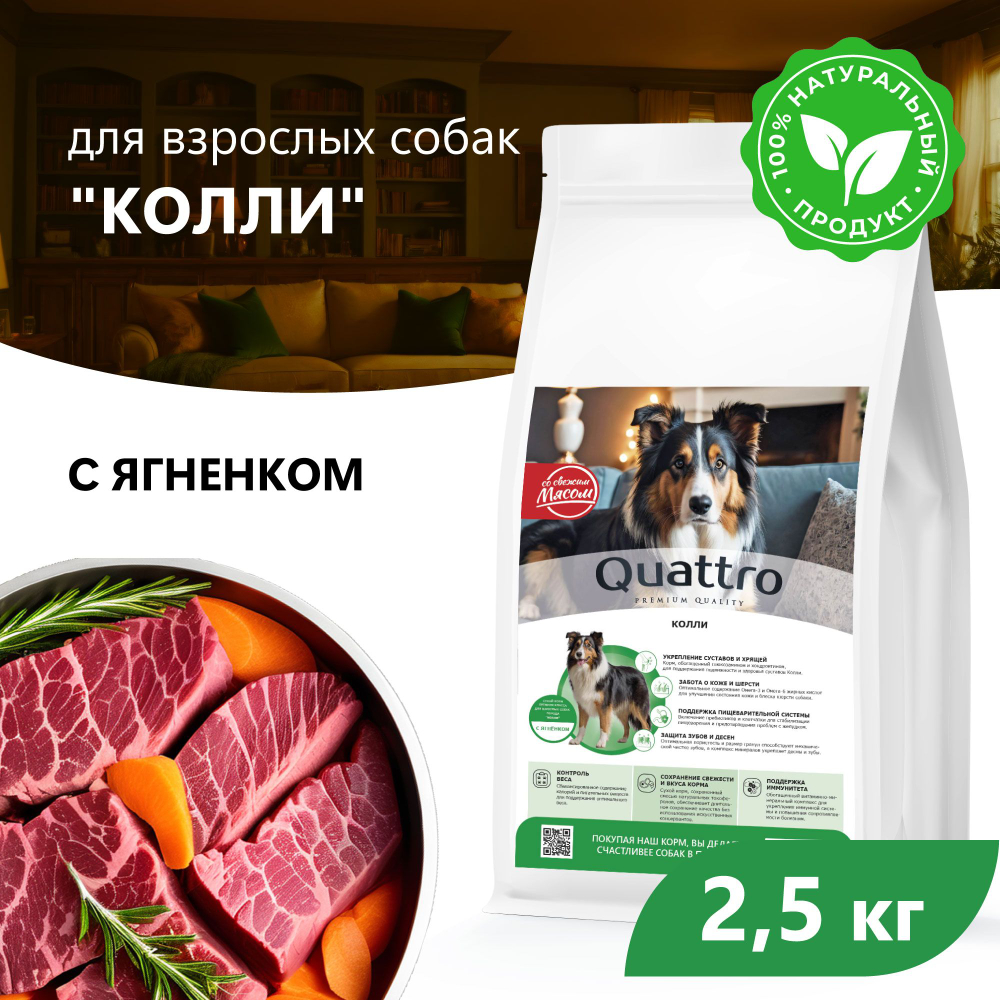 Корм сухой для взрослых собак породы Колли, с ягненком, 2.5 кг, QUATTRO