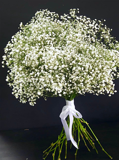 Облако из гипсофилы