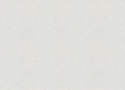 Otaru / Kumano / Surface