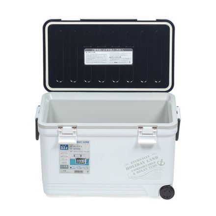 Термобокс SHINWA Holiday Land Cooler 33H белый  /4