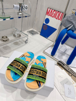 Christian Dior Dway Slide