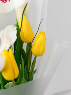 Дуо букет Ирисы с Тюльпанами